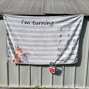 Baby Milestone Blanket 3' 1" X 4' 11" w/ Stickers & Frames